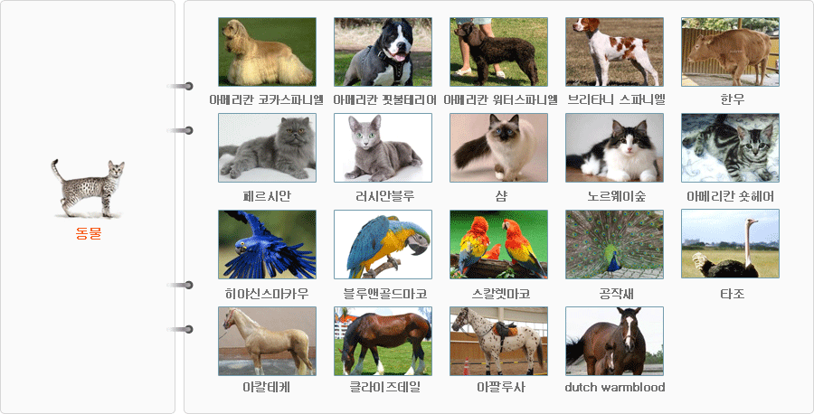 업무수행분야 11